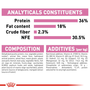 Feline Health Nutrition Kitten 10 KG