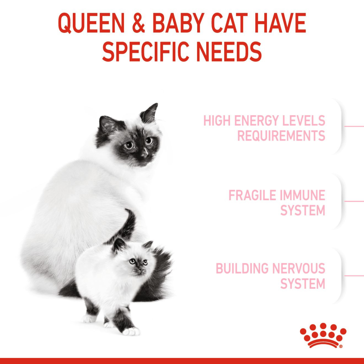 Feline Health Nutrition Mother & Babycat 10 KG