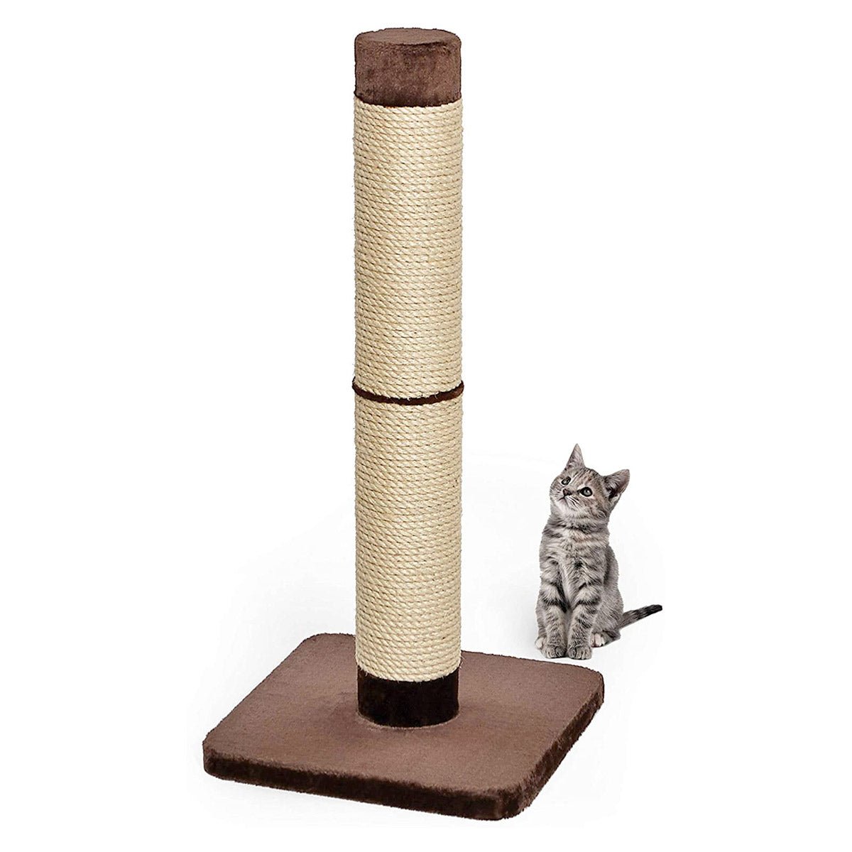 Feline Nuvo Grand Forte Scratching Post - Shopivet.com