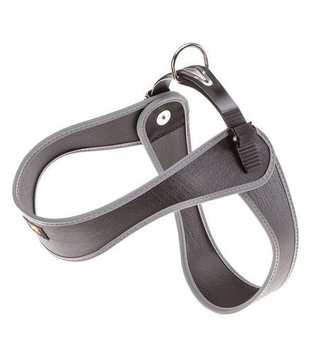 Ferplast AGILA FLUO Harness[Color - Black, Dimension - 42 - 50 x 42 - 50cm] - Shopivet.com