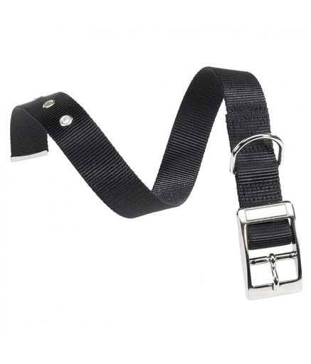 Ferplast Club CF Collar[Color - Black, Dimension - 35 - 43cm x 20mm] - Shopivet.com