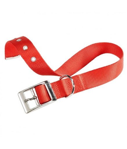 Ferplast Club CF Collar[Color - Maroon, Dimension - 35 - 43cm x 20mm] - Shopivet.com