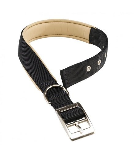 Ferplast Daytona C Nylon Dog Collar[Color - Black, Dimension - 35 - 43cm x 20mm] - Shopivet.com