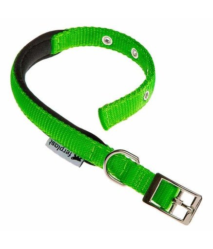 Ferplast Daytona C Nylon Dog Collar[Color - Green, Dimension - 27 - 35cm x 15mm] - Shopivet.com