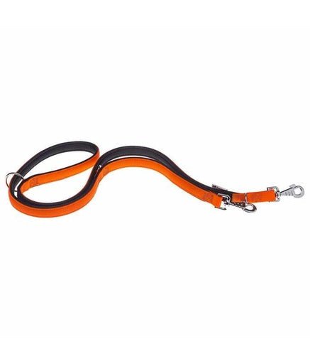 Ferplast Daytona GA Nylon Dog Leash[Color - Orange, Dimension - 20mm x L 200cm] - Shopivet.com