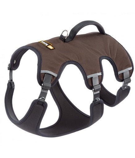 Ferplast Ergotrekking P Harnes[Color - Brown, Dimension - 50 - 60 x 70 - 80 x 60 - 70cm] - Shopivet.com