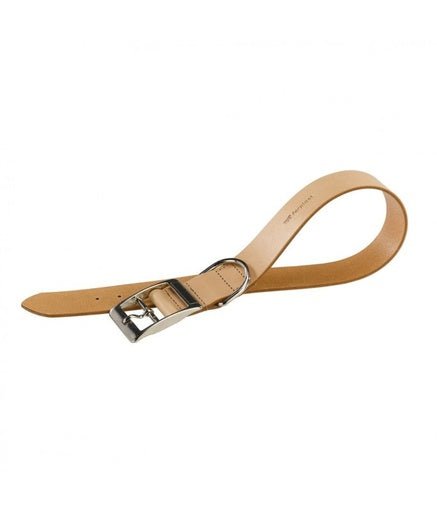 Ferplast Natural C Leather Dog Collar[Color - Beige, Dimension - 37 - 45cm x 25mm] - Shopivet.com