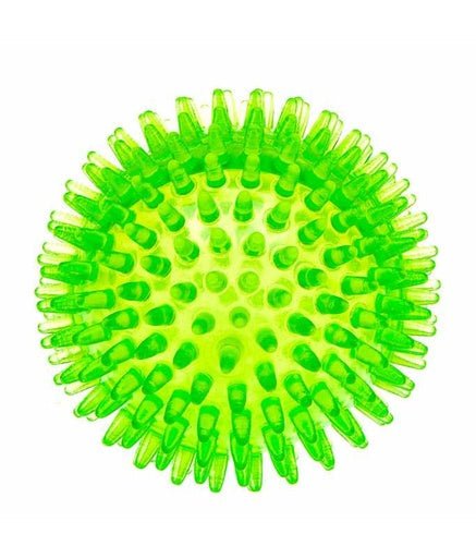 Ferplast Thermoplastic Rubber Ball Dog Toy Ø8 cm (PA 6414) - Shopivet.com