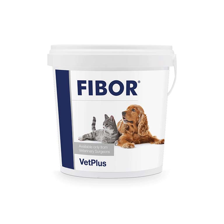 Fibor