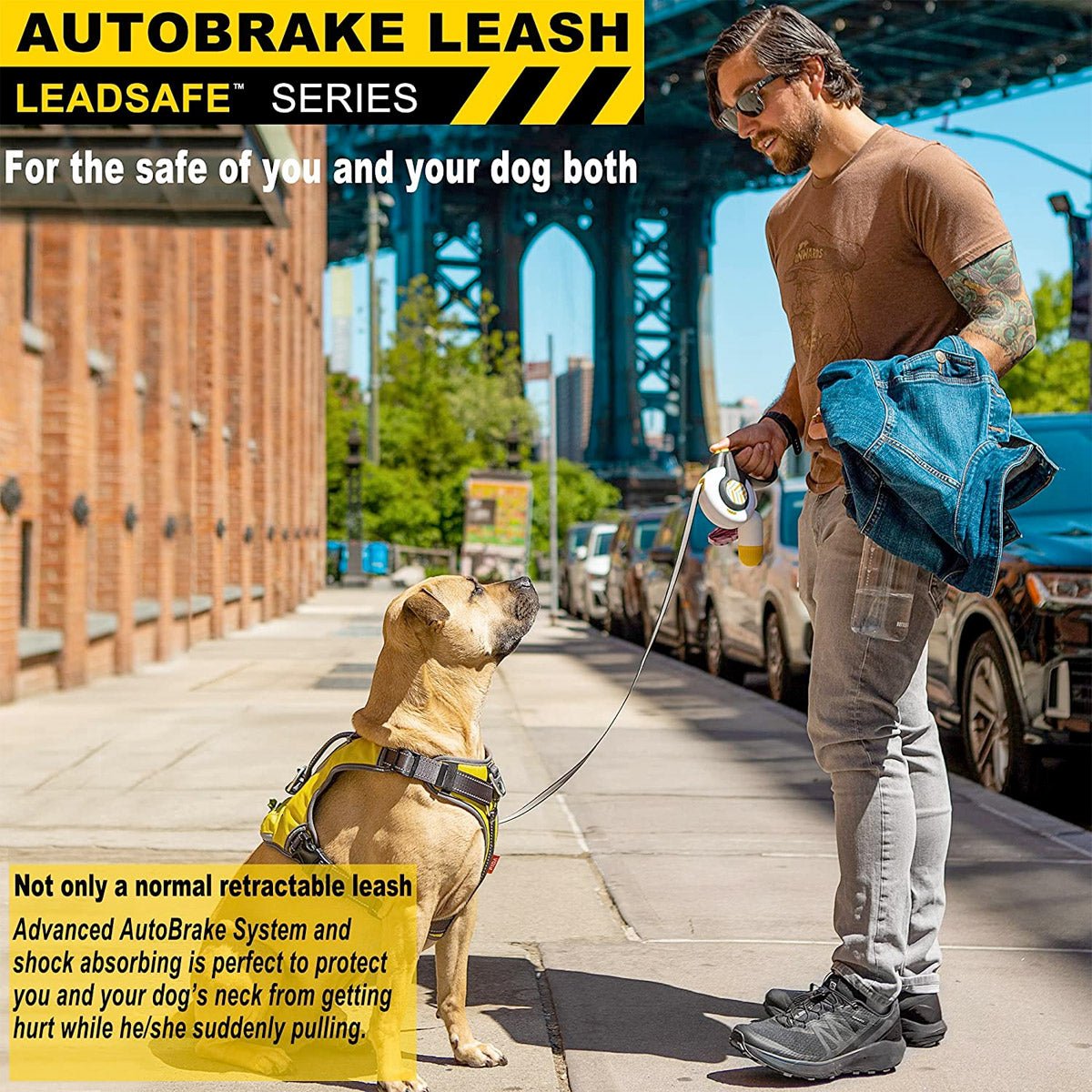 Fida Autobrake Retractable Dog Leash 16 ft - S - Shopivet.com
