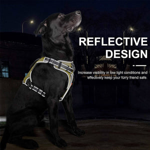 Fida Dog Harness – Yellow - L - Shopivet.com