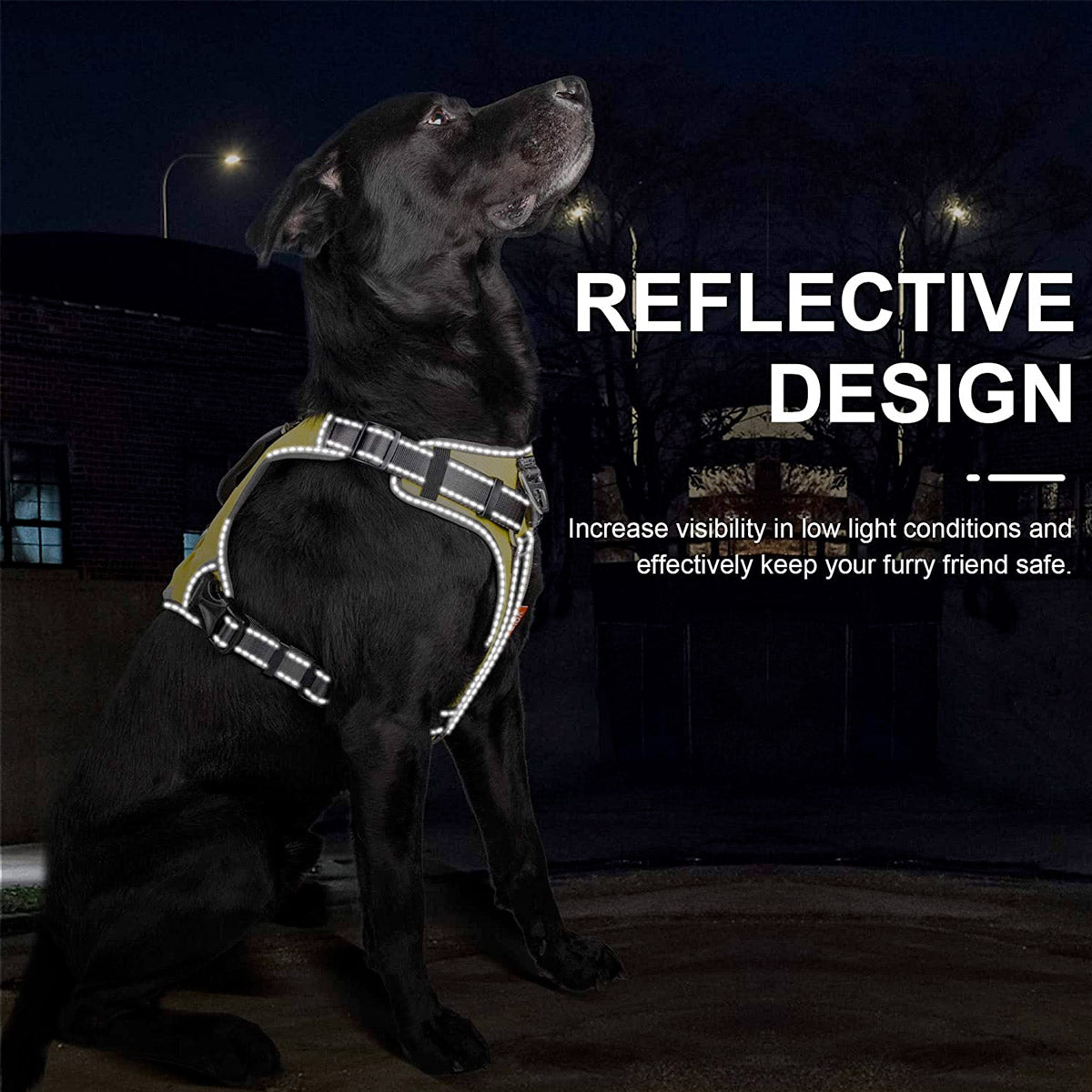 Fida Dog Harness – Yellow - M - Shopivet.com