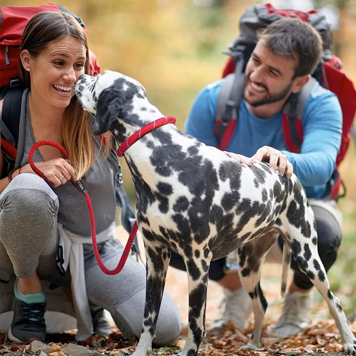 Fida Durable Slip Lead Dog Leash / Training Leash(6ft length, 1/2″ thick Rope) - yellow - Shopivet.com