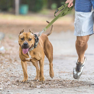 Fida Heavy Duty Dog Leash – Yellow - 4ft - Shopivet.com