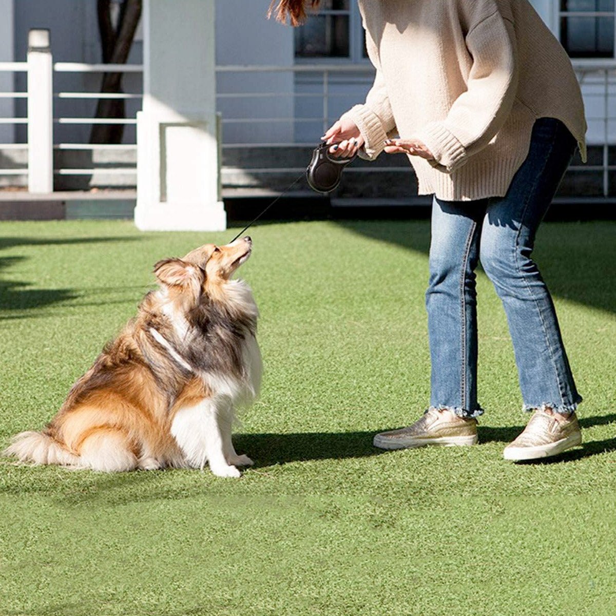 Fida Retractable Dog Leash (JFA Series) - blue - Shopivet.com
