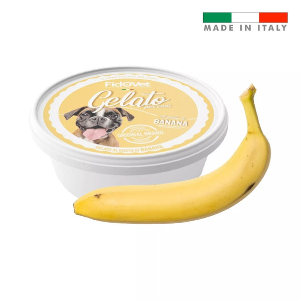 FidoVet Gelato Ice Cream for Dogs (Banana) - Shopivet.com