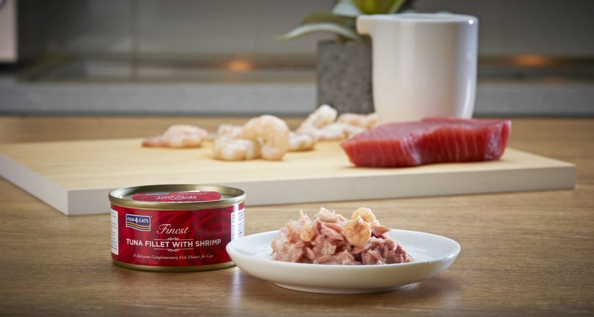Fish4Cats Finest Tuna Fillet with Shrimp Wet Cat Food 70g - 70G - Shopivet.com