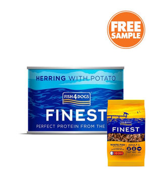 Fish4Dogs Finest Herring with Potato Complete Adult Wet Dog Food 185g - 185G - Shopivet.com