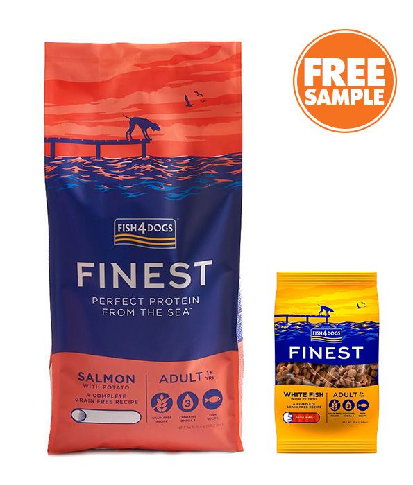 Fish4Dogs Finest Salmon Large Kibble Adult Dry Dog Food - 12kg - Shopivet.com