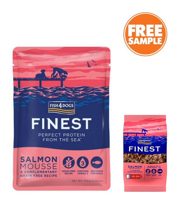 Fish4Dogs Finest Salmon Mousse Wet Dog Food 100g - 100g - Shopivet.com