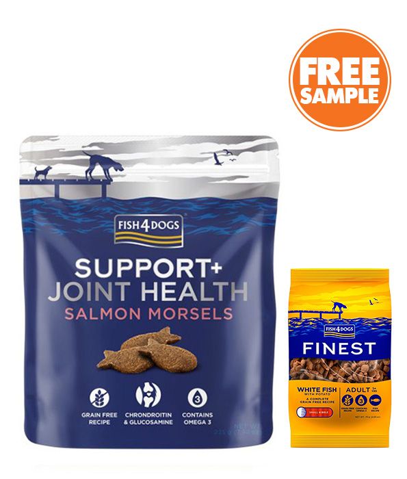 Fish4Dogs Support+ Joint Health Salmon Morsels Dog Treats 225g - 225g - Shopivet.com