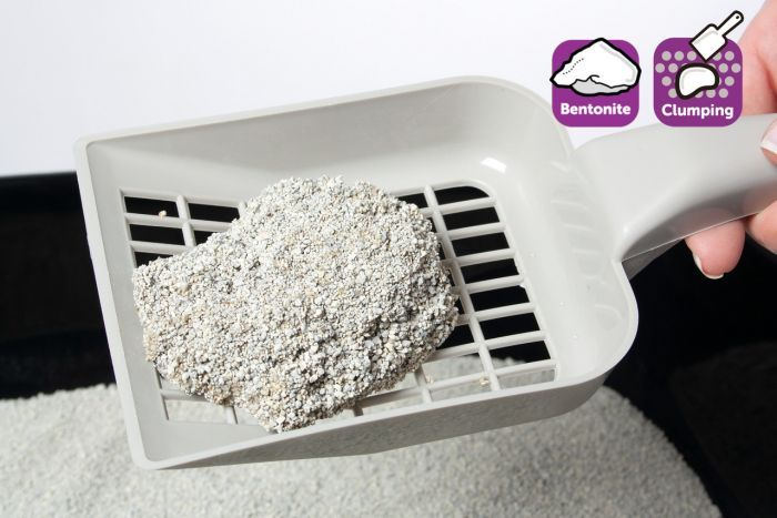 Flamingo Bentonite Baby Powder Scent Clumping Cat Litter - 15KG - Shopivet.com