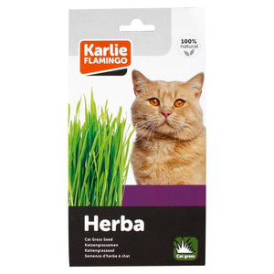 Flamingo Cat Grass Seed Herba - Shopivet.com