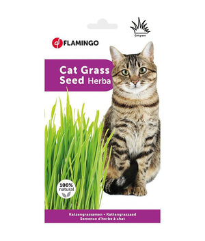 Flamingo Cat Grass Seed Herba - Shopivet.com