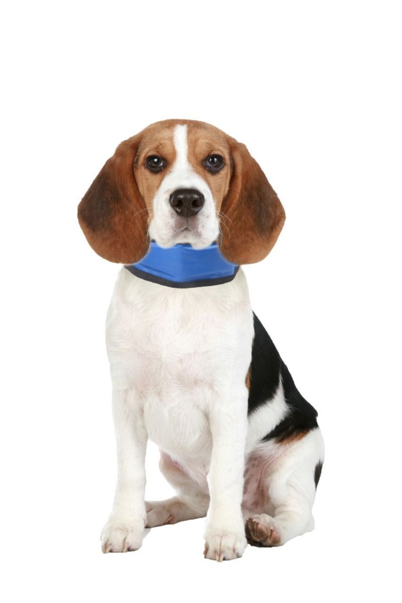 Flamingo Dog Cooling Bandana - S - Shopivet.com