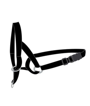 Flamingo Easy Leader Dog Head Collar - Medium - Shopivet.com
