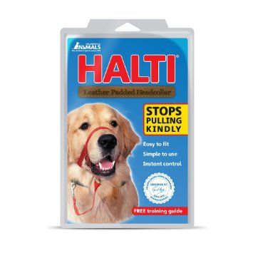 Flamingo Halti Dog Headcollar - Shopivet.com