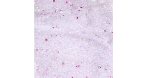 Flamingo Silica Fine Regular Clumping Cat Litter - 5L - Shopivet.com