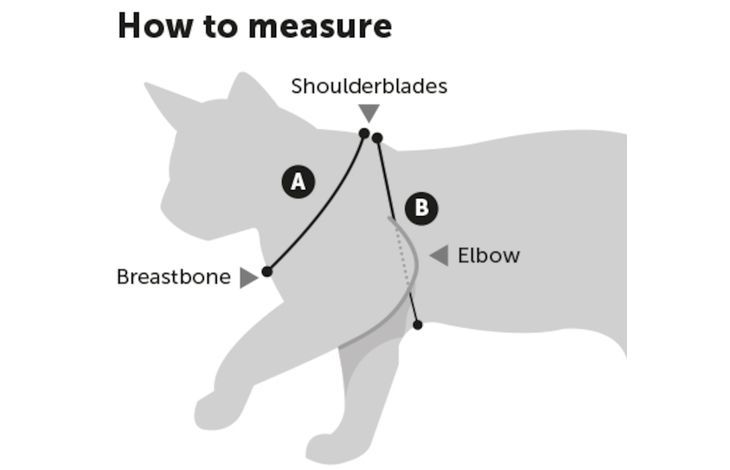 Flamingo Topo Mouse Motif Kitten Harness & Leash Black 20 - 35cm 10mm - Shopivet.com