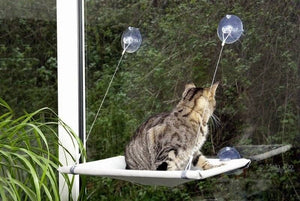 Flamingo Window Lounger Chill Grey Cat Hammock - Grey - Shopivet.com
