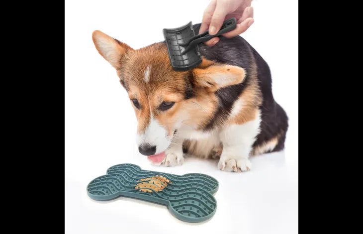 Flamingo Yummy Silicone Bone Lick Pad - Petrol Medium - Shopivet.com
