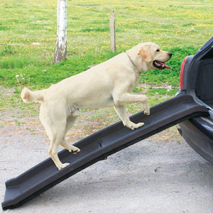 Flamingo Gentle Step Car Dog Ramp  -