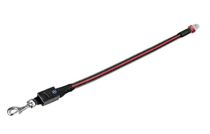Flexi Vario LED Dog Flash Belt - S/M - Shopivet.com