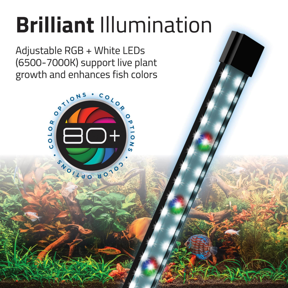 Fluval Flex 2.0 Aquarium Kit Black 34 L