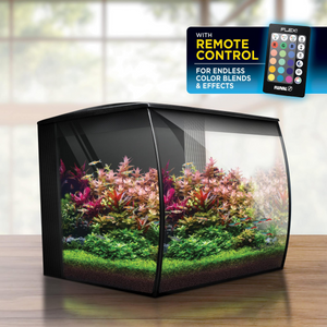 Fluval Flex 2.0 Aquarium Kit Black 34 L