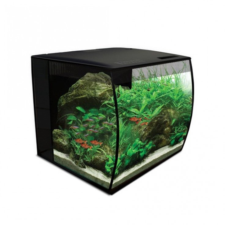 FLUVAL FLEX AQUARIUM - 34L حوض أسماك - Shopivet.com