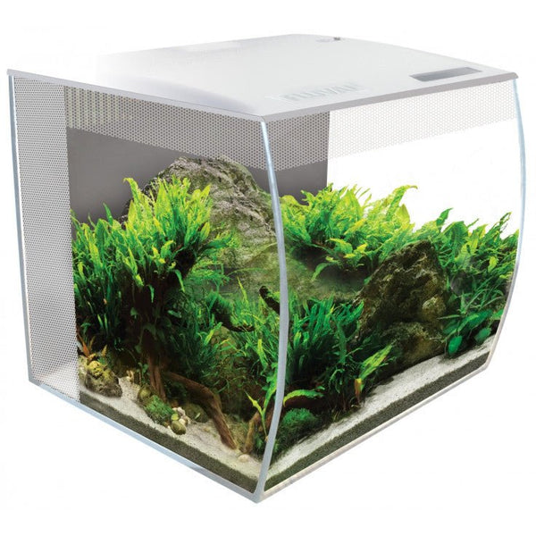 FLUVAL FLEX AQUARIUM 34L - WHITE حوض سمك - Shopivet.com