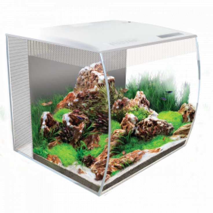 FLUVAL FLEX AQUARIUM 57L - WHITE - Shopivet.com