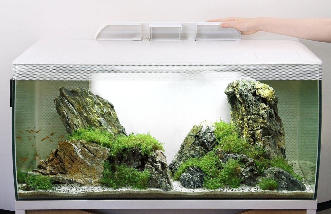 FLUVAL FLEX AQUARIUM KIT 123L مجموعة حوض السمك - Shopivet.com