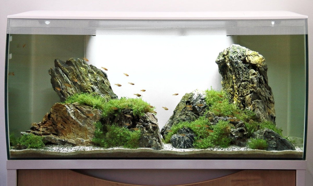 FLUVAL FLEX AQUARIUM KIT 123L مجموعة حوض السمك - Shopivet.com