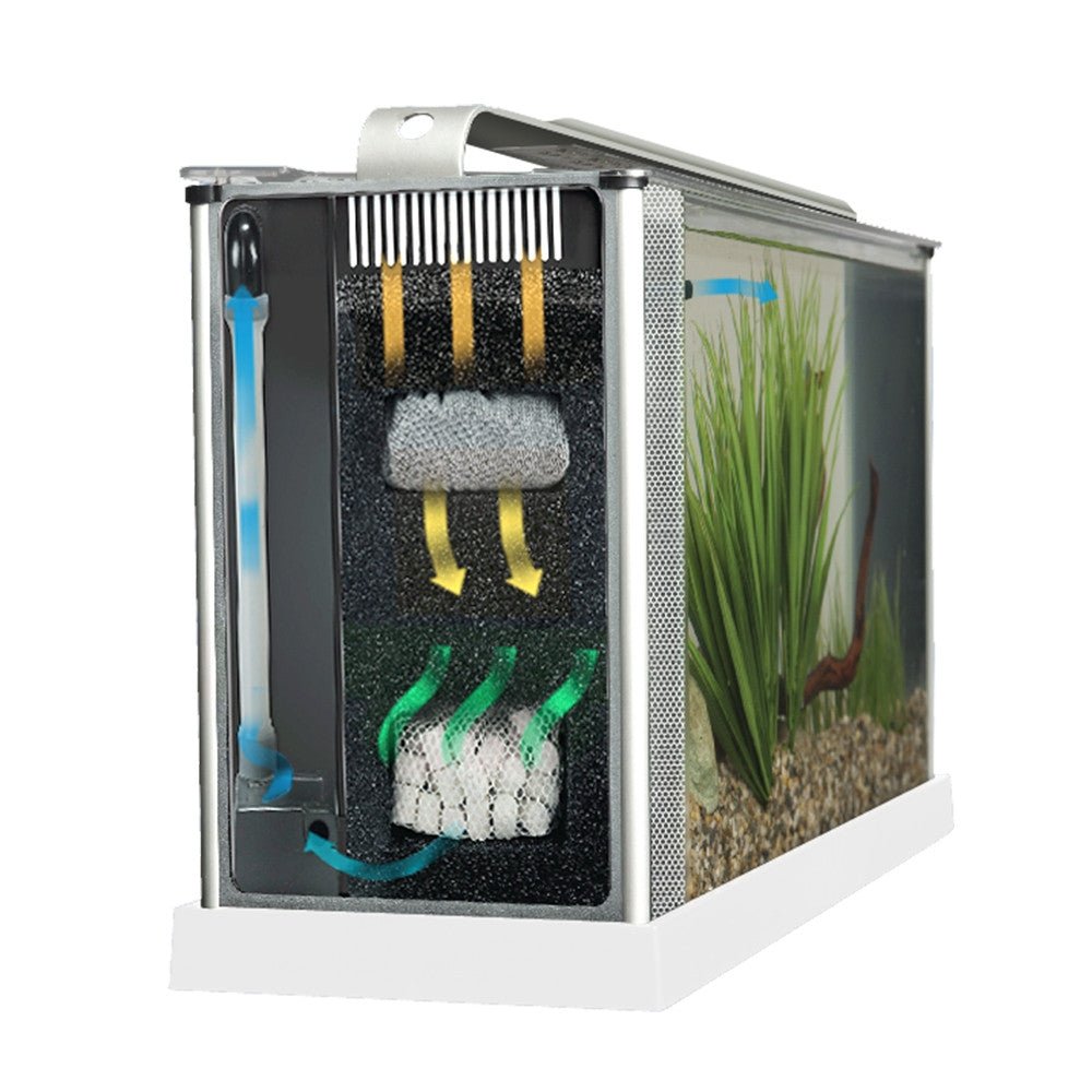 FLUVAL SPEC AQUARIUM KIT - 19 L (5 US GAL) طقم حوض السمك - Shopivet.com