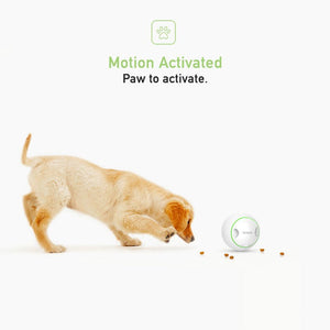 Foodie Orb – Automatic Rolling Treat Ball - Shopivet.com