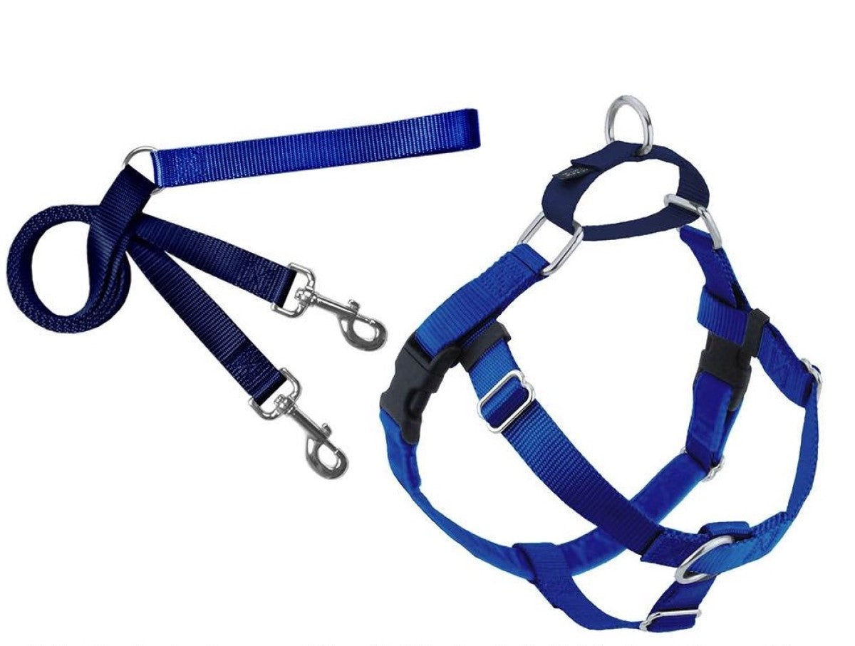 Freedom No-Pull Harness and Leash -  Royal Blue / Medium 1"