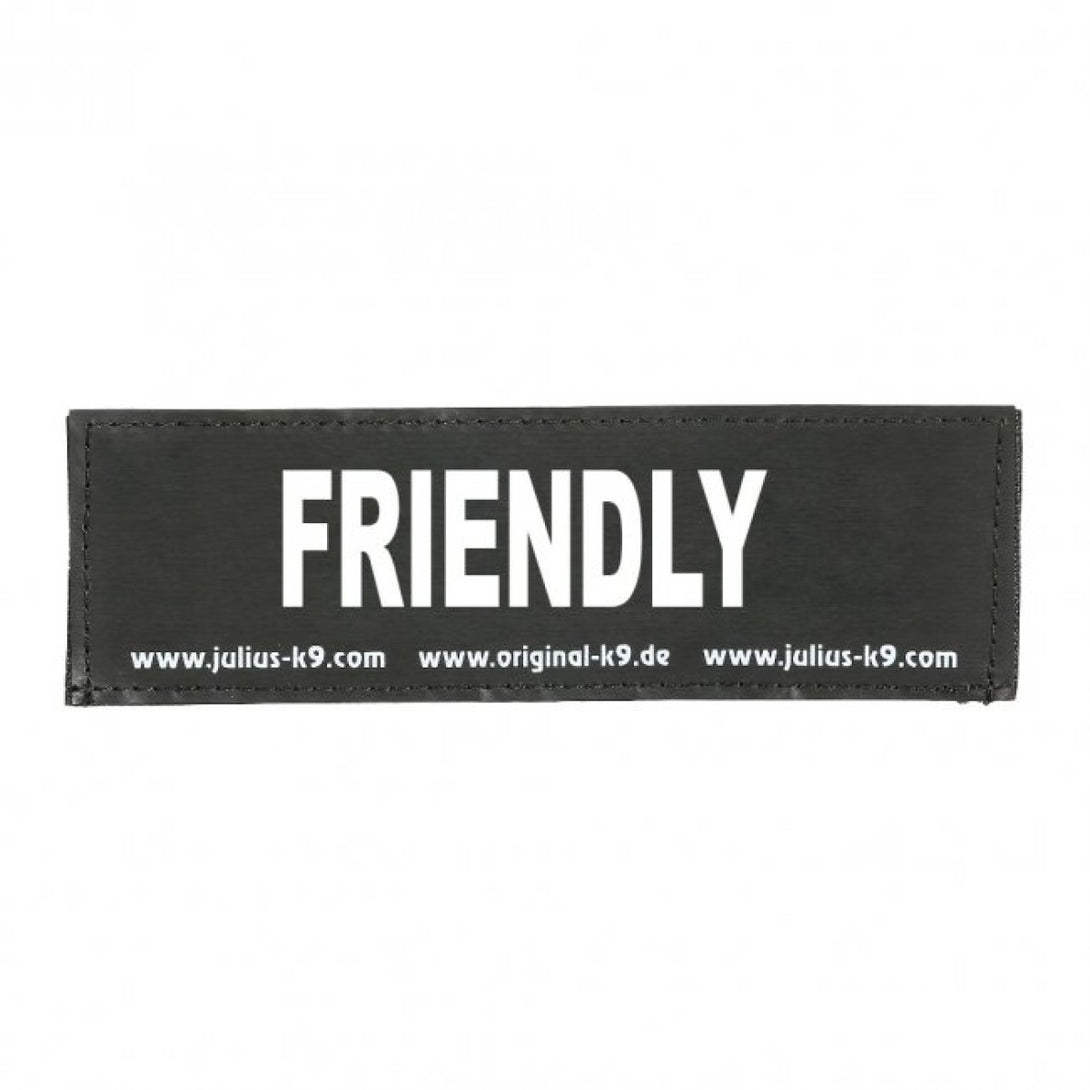 FRIENDLY PATCH - LARGE