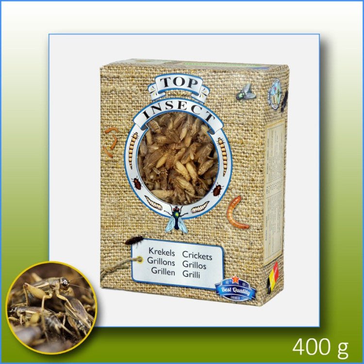 Frozen Crickets 1 L - Shopivet.com