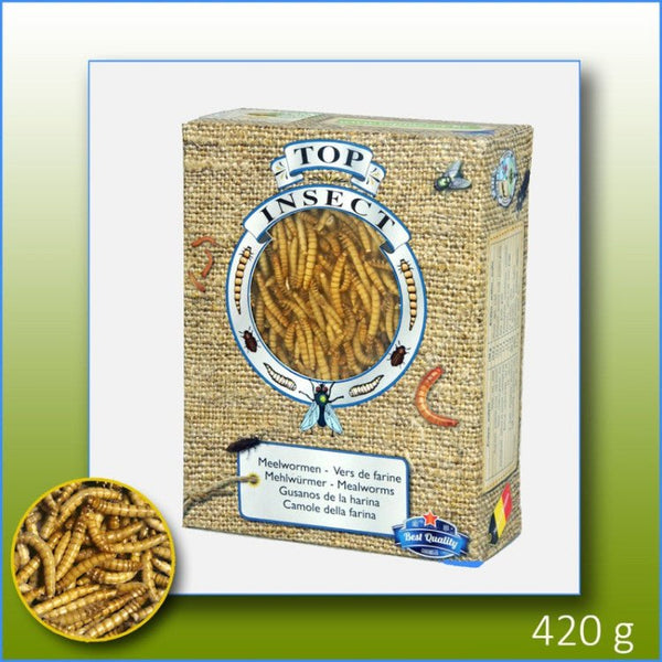 Frozen Mealworms 1 L - Shopivet.com